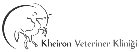 www.kheironvet.com